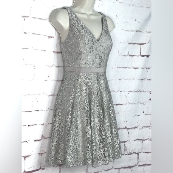 ADRIANNA PAPELL Dresses & Skirts - ADRIANNA PAPELL Silver Lace Overlay Fit & Flare Minidress Size 4 PETITE